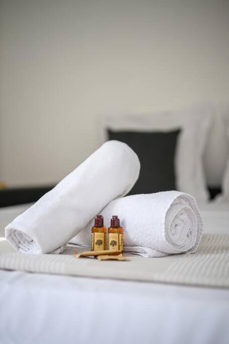 La Villa Julia - Calme - Spacieux - Parking Prive - Climatisation 芒通 外观 照片